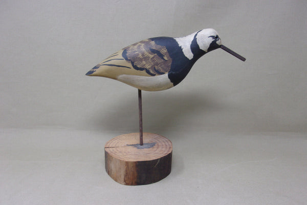 Donna Tonelli Ruddy Turnstone  (#4573)