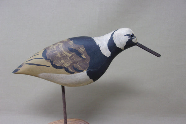 Donna Tonelli Ruddy Turnstone  (#4573)