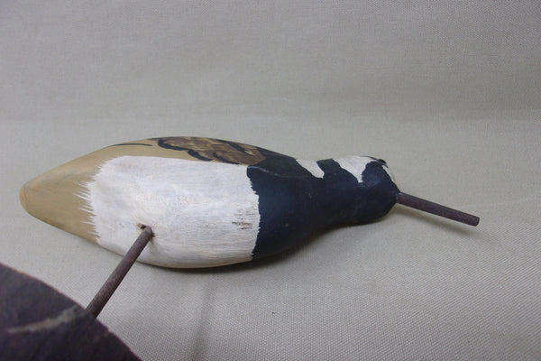 Donna Tonelli Ruddy Turnstone  (#4573)