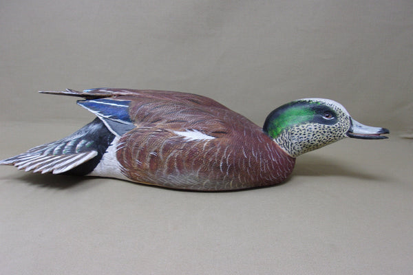 Walt Spayer Swimming Widgeon Drake (#4575)