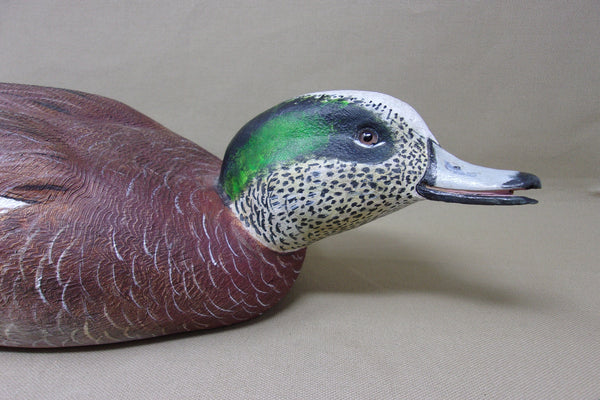 Walt Spayer Swimming Widgeon Drake (#4575)