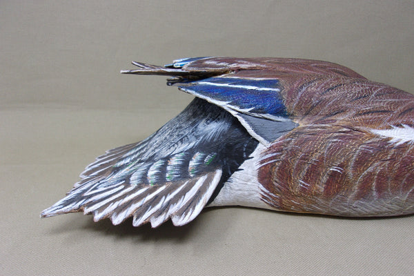 Walt Spayer Swimming Widgeon Drake (#4575)