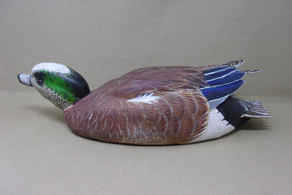 Walt Spayer Swimming Widgeon Drake (#4575)