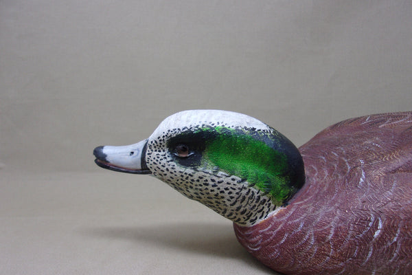 Walt Spayer Swimming Widgeon Drake (#4575)