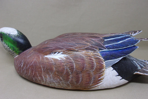 Walt Spayer Swimming Widgeon Drake (#4575)