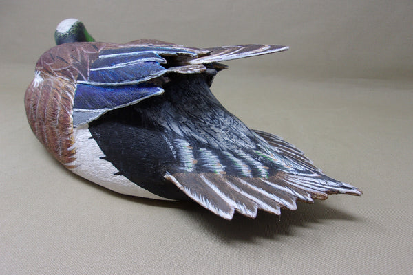 Walt Spayer Swimming Widgeon Drake (#4575)