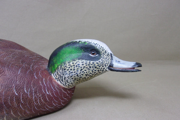 Walt Spayer Swimming Widgeon Drake (#4575)
