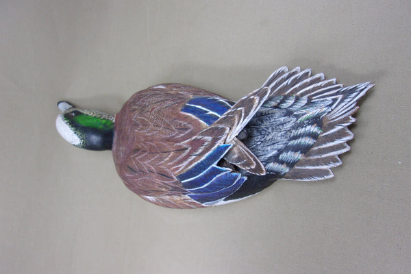 Walt Spayer Swimming Widgeon Drake (#4575)