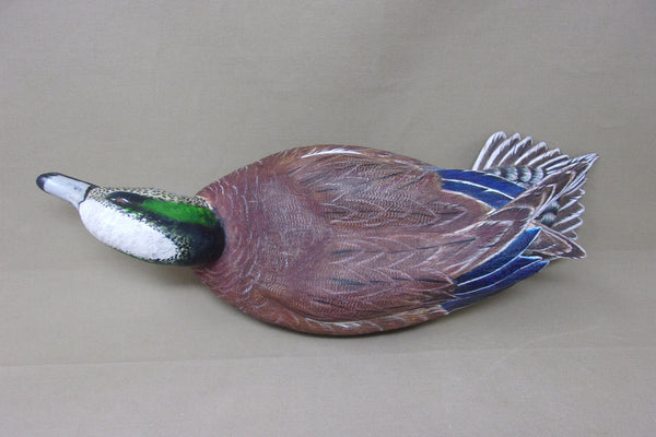 Walt Spayer Swimming Widgeon Drake (#4575)