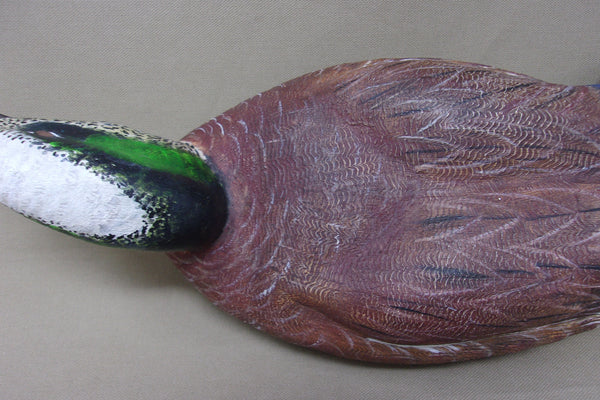 Walt Spayer Swimming Widgeon Drake (#4575)