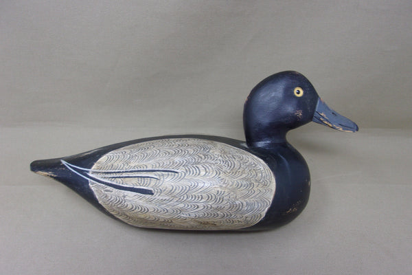 Shaw Blue Bill (#4587)