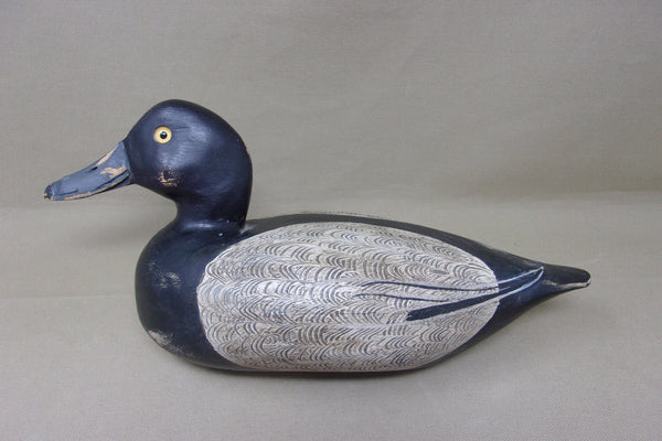 Shaw Blue Bill (#4587)