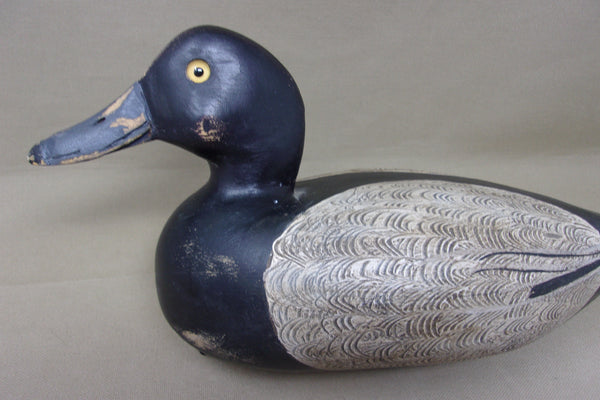 Shaw Blue Bill (#4587)