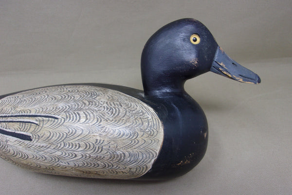 Shaw Blue Bill (#4587)