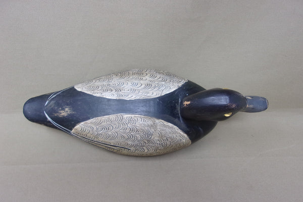 Shaw Blue Bill (#4587)