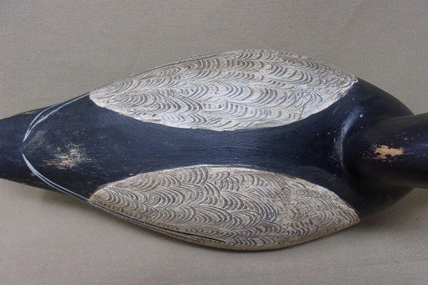 Shaw Blue Bill (#4587)