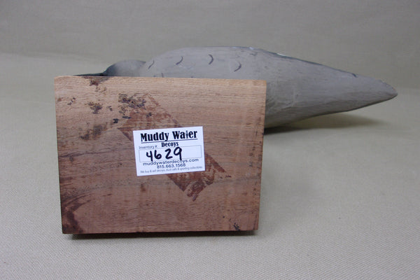 Herters 1893 Series Curlew (#4629)