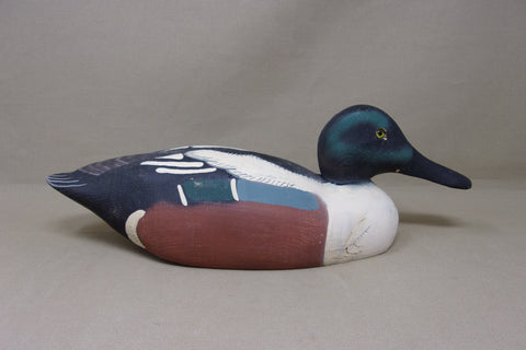 Herters 1893 Series Shoveler Drake (#4635)