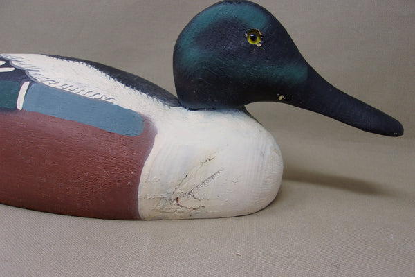 Herters 1893 Series Shoveler Drake (#4635)
