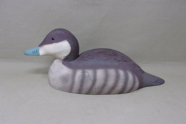 Herters 1893 Series Ruddy Duck, Stamped (#4641)