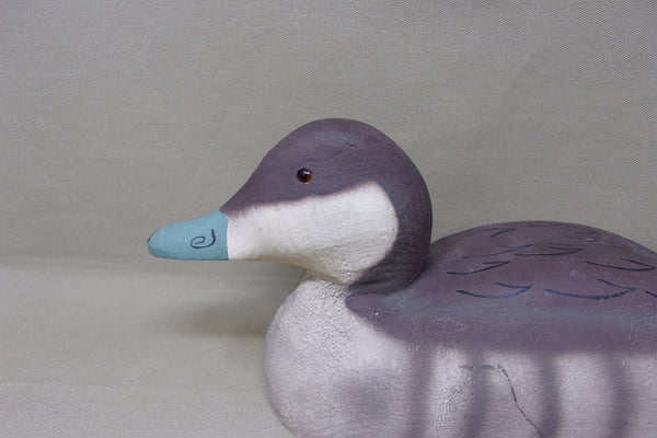 Herters 1893 Series Ruddy Duck, Stamped (#4641)