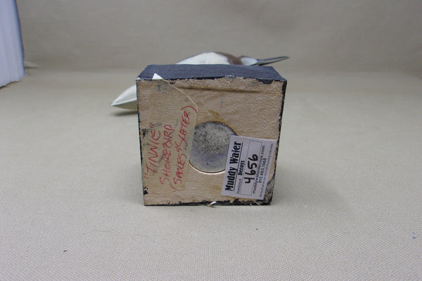 Strater & Sohier "Tinnie" Shorebird (#4656)