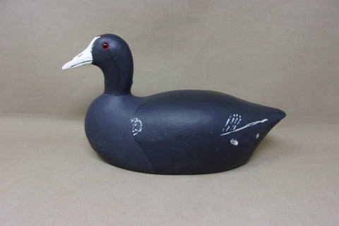 Paul Doer Coot, Wisconsin, Branded (#4682)
