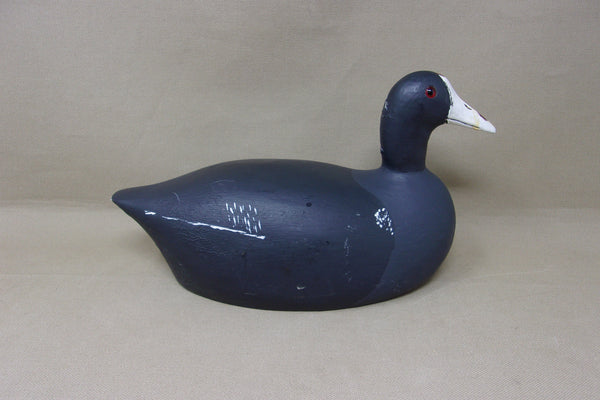 Paul Doer Coot, Wisconsin, Branded (#4682)