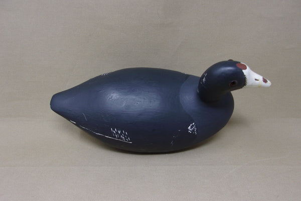 Paul Doer Coot, Wisconsin, Branded (#4682)