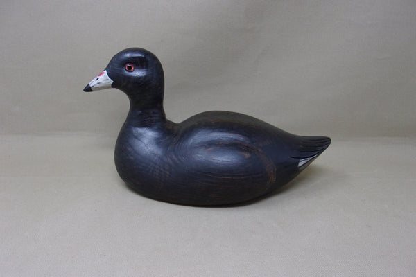 Kearns Coot, St. Louis  (#4683)