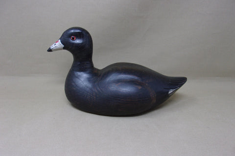 Kearns Coot, St. Louis  (#4683)