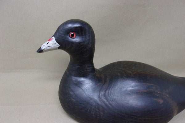 Kearns Coot, St. Louis  (#4683)