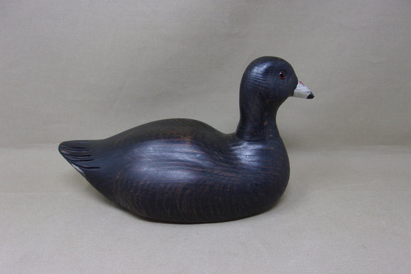 Kearns Coot, St. Louis  (#4683)