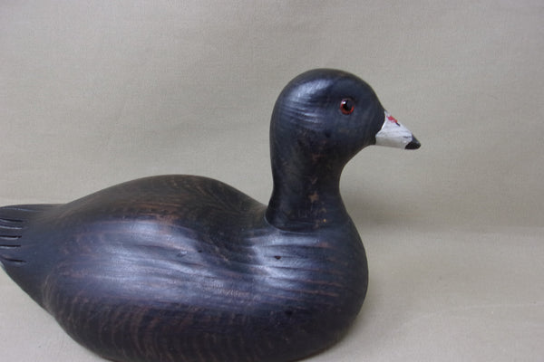 Kearns Coot, St. Louis  (#4683)