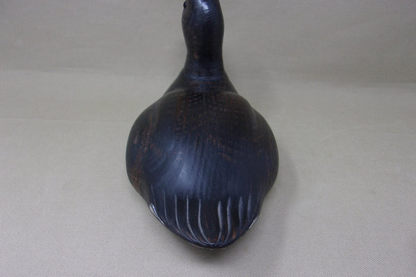 Kearns Coot, St. Louis  (#4683)