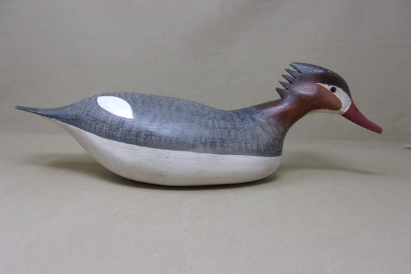 H. V. Shourds Red Breasted Merganser Hen (#4686)