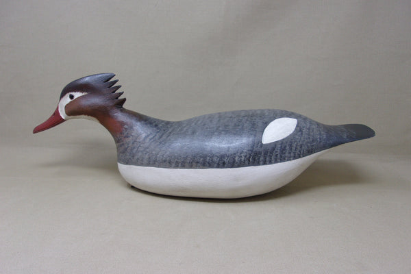 H. V. Shourds Red Breasted Merganser Hen (#4686)