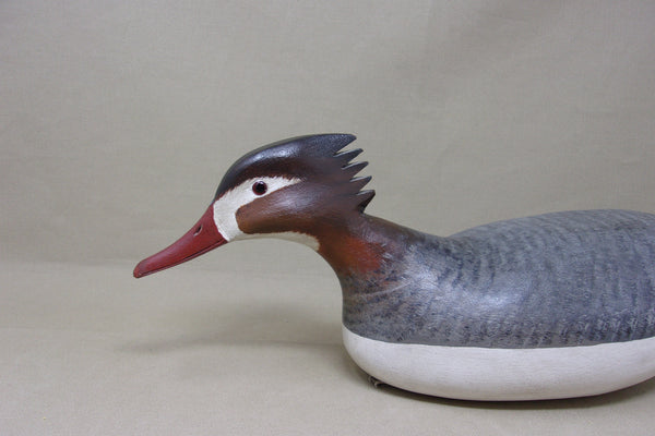 H. V. Shourds Red Breasted Merganser Hen (#4686)