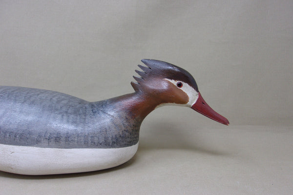 H. V. Shourds Red Breasted Merganser Hen (#4686)