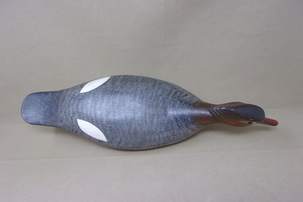 H. V. Shourds Red Breasted Merganser Hen (#4686)