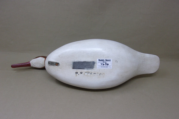 H. V. Shourds Red Breasted Merganser Hen (#4686)