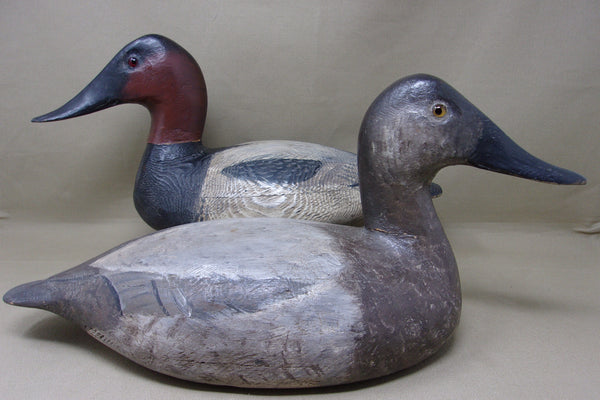 Torry Ward, Ward Style Canvasback Pair (#4688)