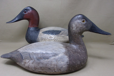 Torry Ward, Ward Style Canvasback Pair (#4688)