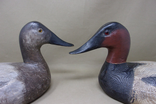 Torry Ward, Ward Style Canvasback Pair (#4688)