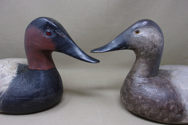 Torry Ward, Ward Style Canvasback Pair (#4688)