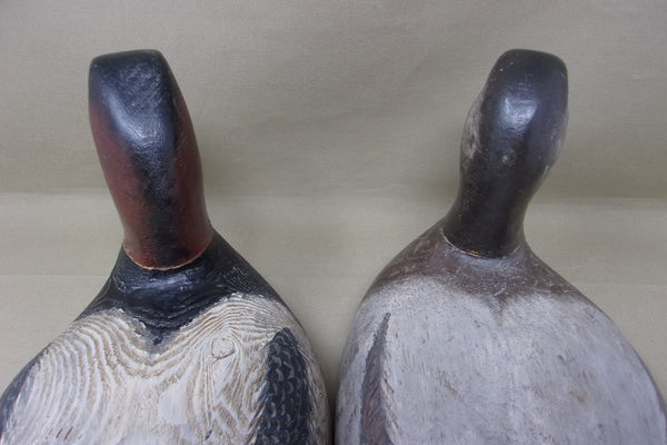 Torry Ward, Ward Style Canvasback Pair (#4688)