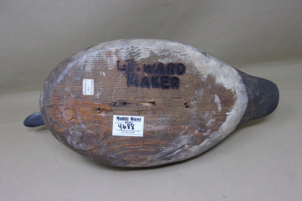 Torry Ward, Ward Style Canvasback Pair (#4688)