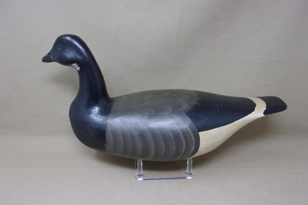 Harry V. Shourds Brant, Branded with Weight (#4690)