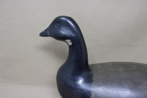 Harry V. Shourds Brant, Branded with Weight (#4690)