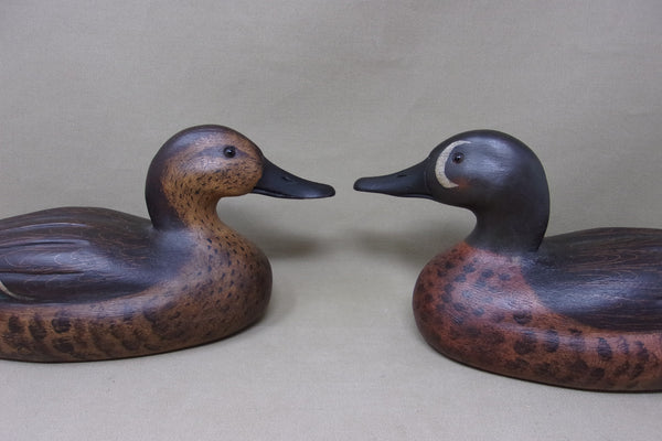 Dennis Edwards Pair of Blue Wing Teal (#4700)